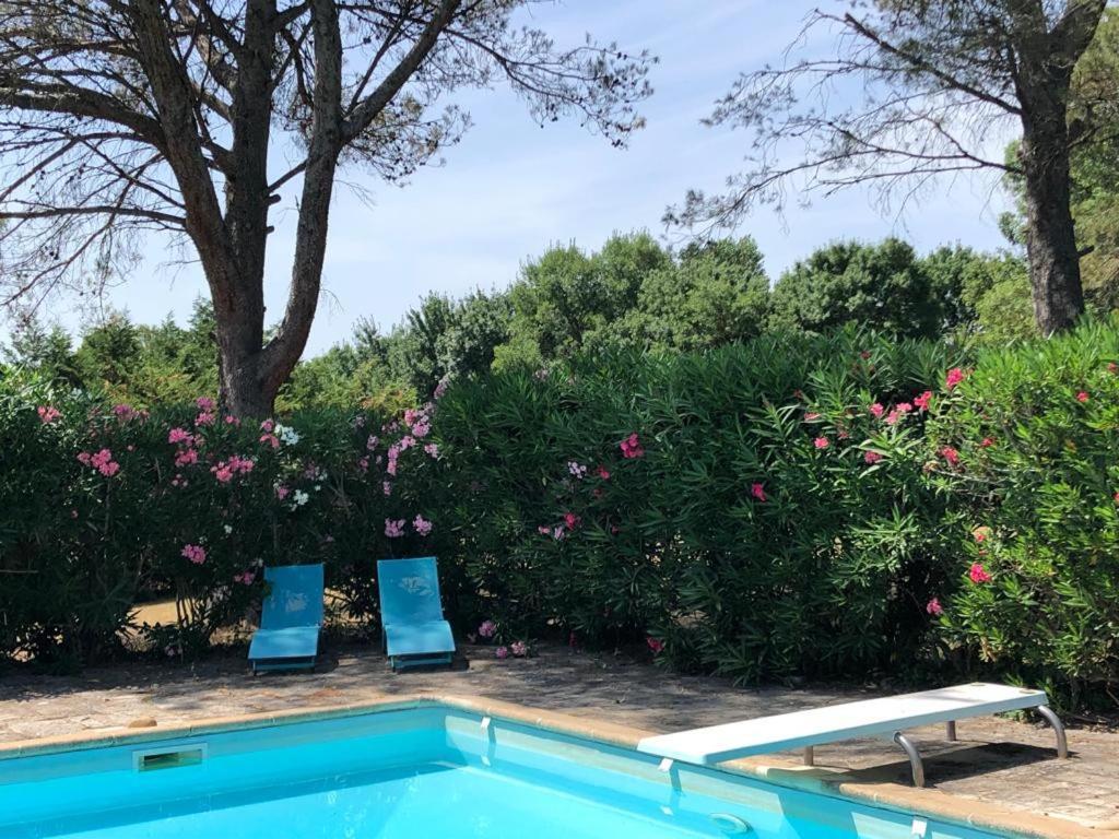 Very Pleasant Provencal Mas, Typical To The Region, With Heated Pool In Saint Remy De Provence - 9 People Villa Exterior photo