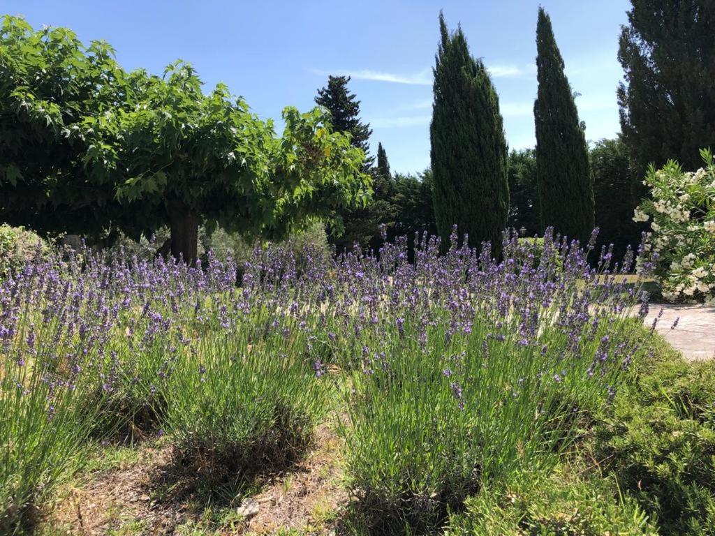 Very Pleasant Provencal Mas, Typical To The Region, With Heated Pool In Saint Remy De Provence - 9 People Villa Exterior photo